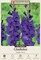 Purple Flora Gladiolus 10 Bulbs - 12/14 cm - Rich Violet Purple